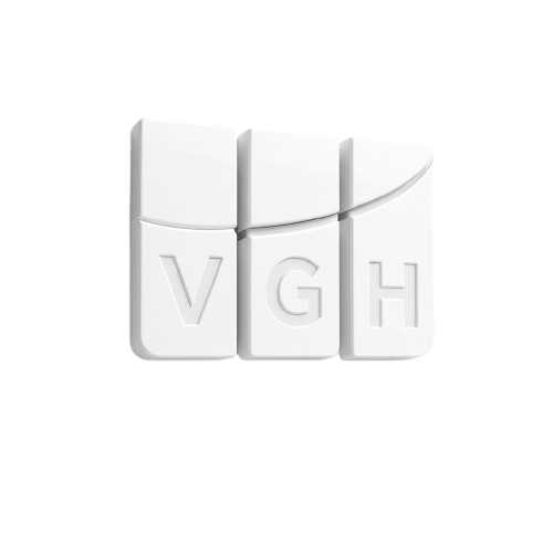 vgh group logo